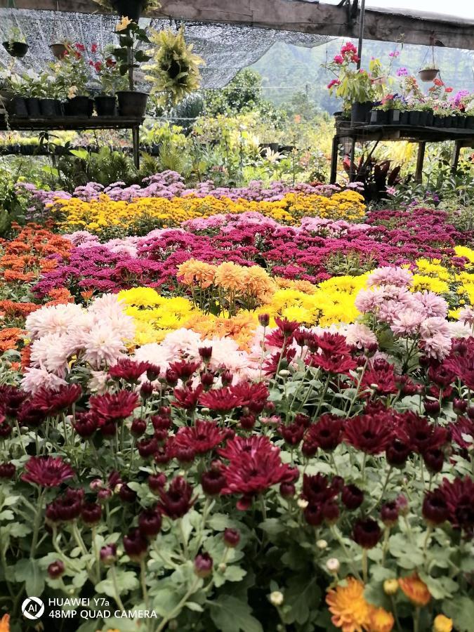 Flower Top เอลลา ภายนอก รูปภาพ